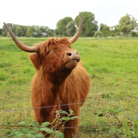 De Ark Casa vacanze Schoorl