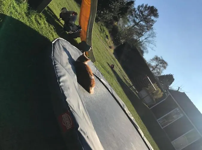 בית נופש De Ark