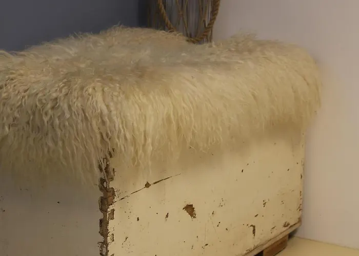 בית נופש De Ark סחורל