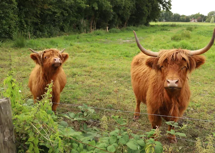 De Ark בית נופש