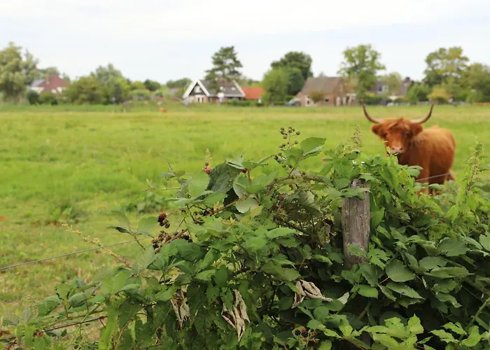 De Ark Сasa de vacaciones *