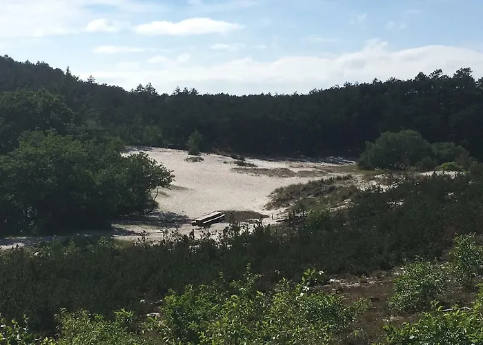 De Ark * スコールル