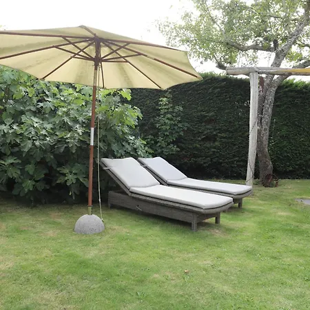 De Ark 別荘 スコールル