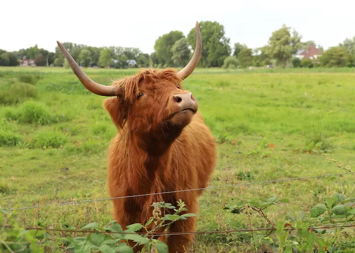 De Ark Semesterbostad Schoorl